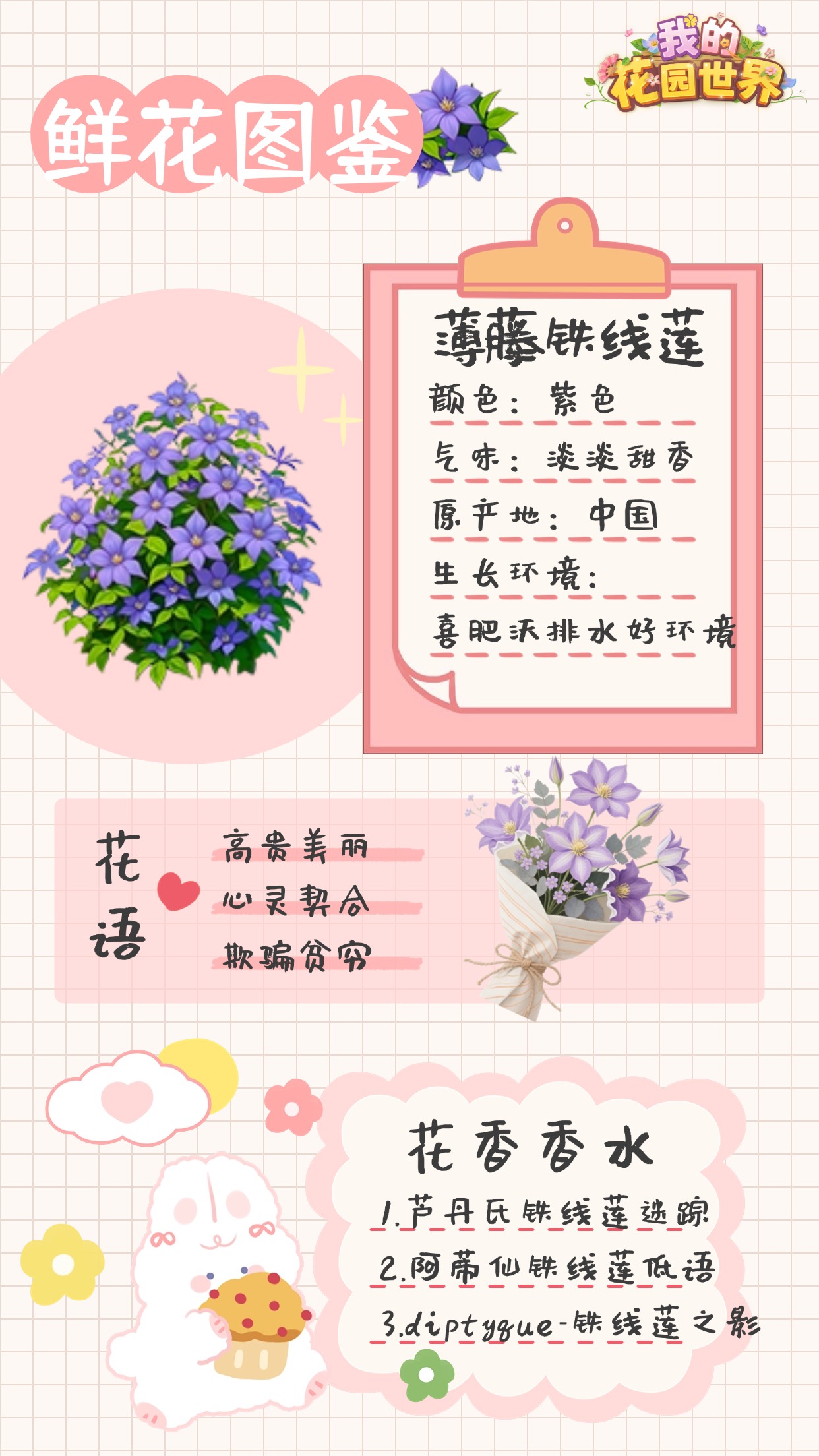 我的花园世界薄藤铁线莲图鉴 我的花园世界薄藤铁线莲图鉴