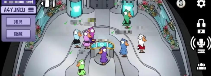 针对鹅鸭杀手游出现的卡顿与掉帧问题，下面提供一系列优化策略，帮助提升游戏的流畅度和体验感。