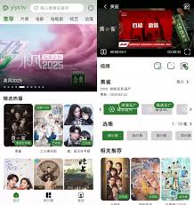 壹影视app如何观看视频-壹影视app怎样看视频