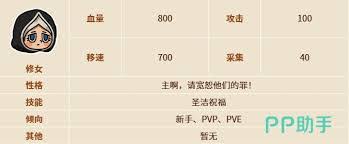 关于英勇之地修女的装备选择与搭配攻略——修女装备推荐指南