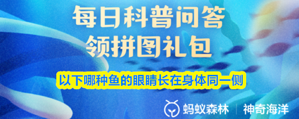 以下哪一种鱼的双眼位于身躯的同一边？
