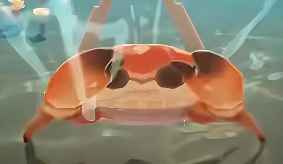 在星布谷地中是否设有钓鱼活动？—详细解析星布谷地的钓鱼玩法