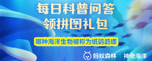 哪一种海洋生物被称作“纸鹦鹉螺”呢？  

