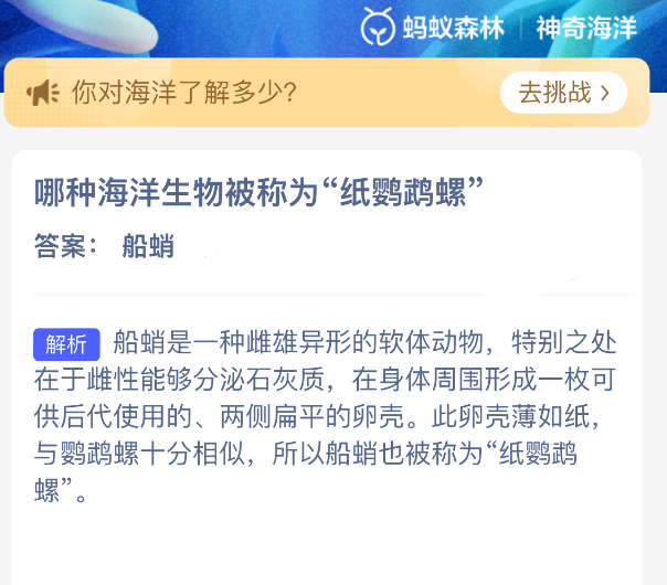 哪一种海洋生物被称作“纸鹦鹉螺”呢？  

