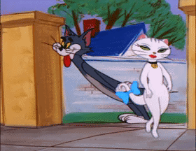 令人心生怜悯的汤姆猫被掌中之势表情包gif