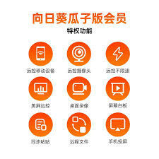 向日葵远程控制具备哪些主要功能——全面解析向日葵的远程操控能力