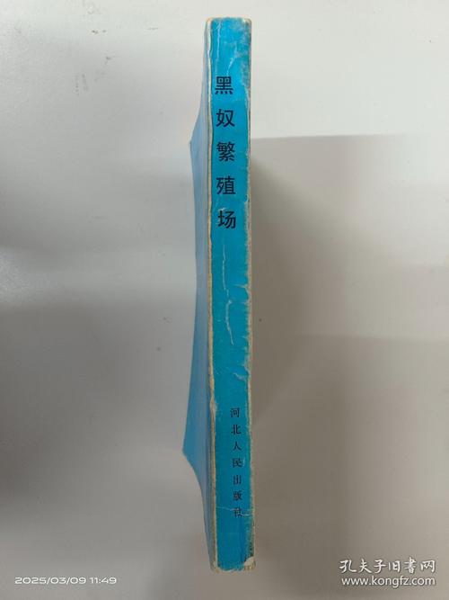 黑奴繁殖场完整版