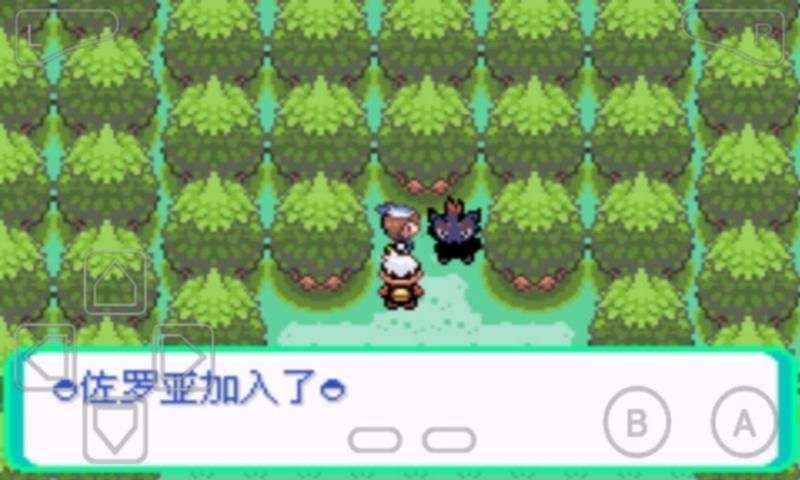 口袋妖怪漆黑魅影5.0