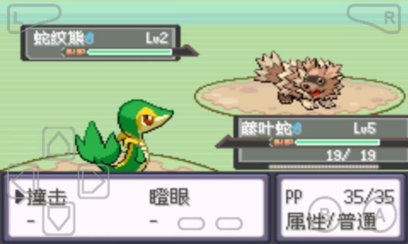 口袋妖怪漆黑魅影5.0