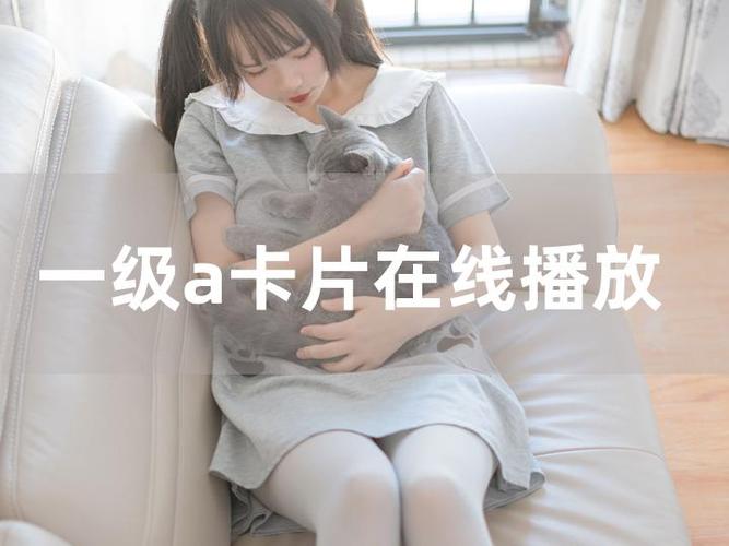 精品一卡在线播放