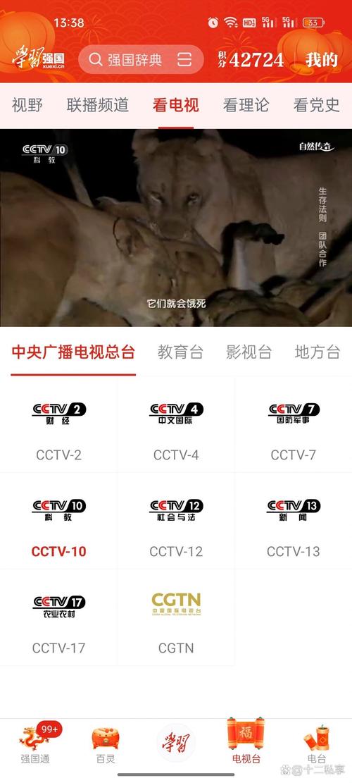 cctv2在线直播