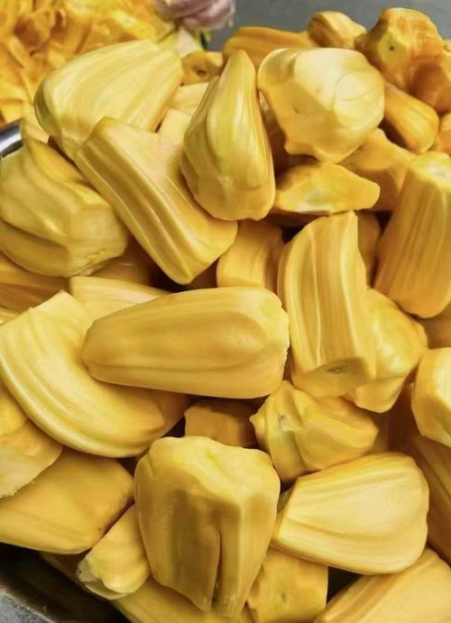 菠萝蜜app汅api免费新版