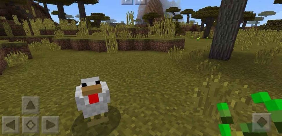 我的世界1.1.4服务器大全