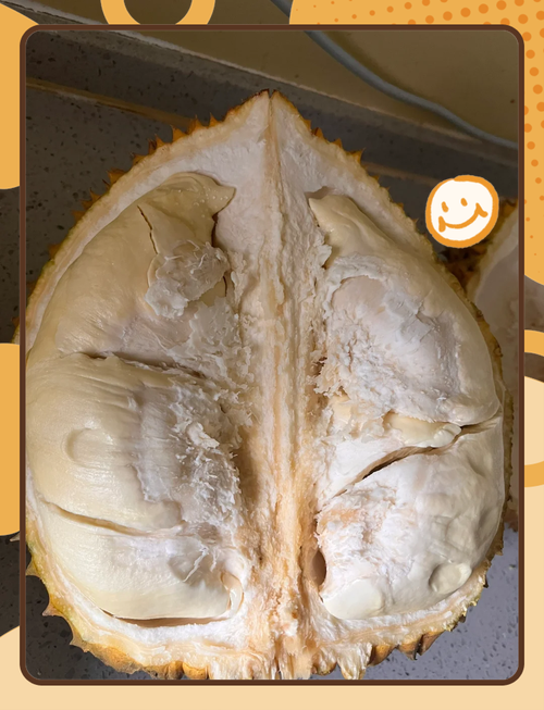 小蝌蚪丝瓜荔枝榴莲樱桃最新版