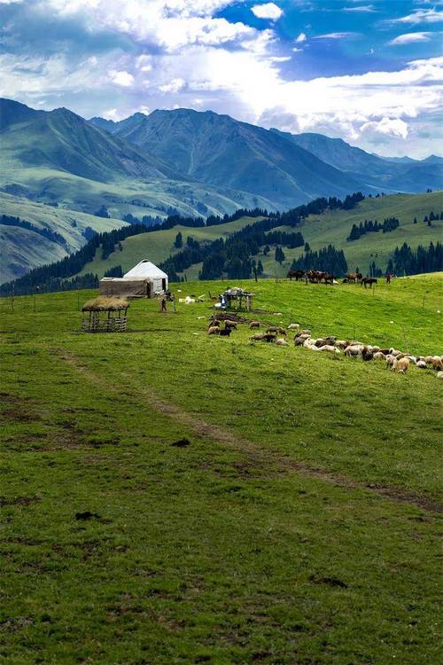 国国内清清草原免费视频99