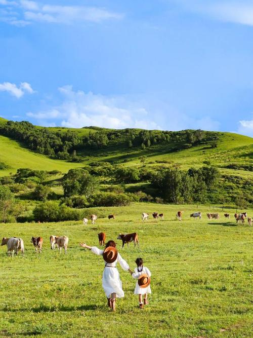 国国内清清草原免费视频99