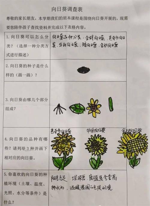 向日葵站长统计记录