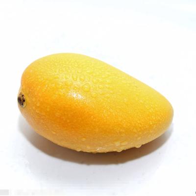 linode视频iphone69芒果