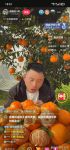 柑橘直播手机版
