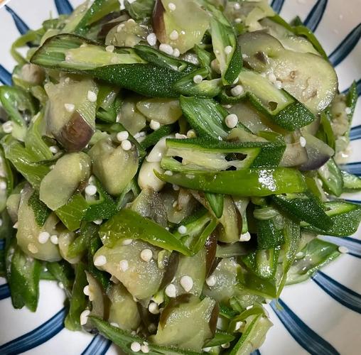 秋葵 茄子 丝瓜 香草 榴莲无限看