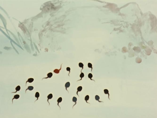 小蝌蚪视频www在线观看免费下载