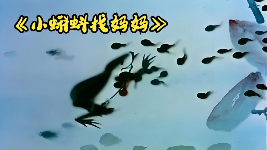 小蝌蚪视频www在线观看免费下载