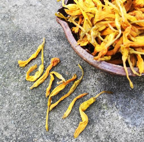 忘忧草资源在线www