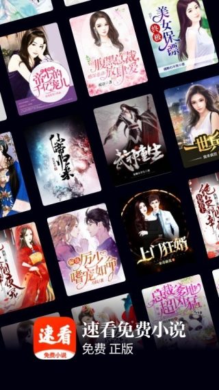 速看小说纯净版