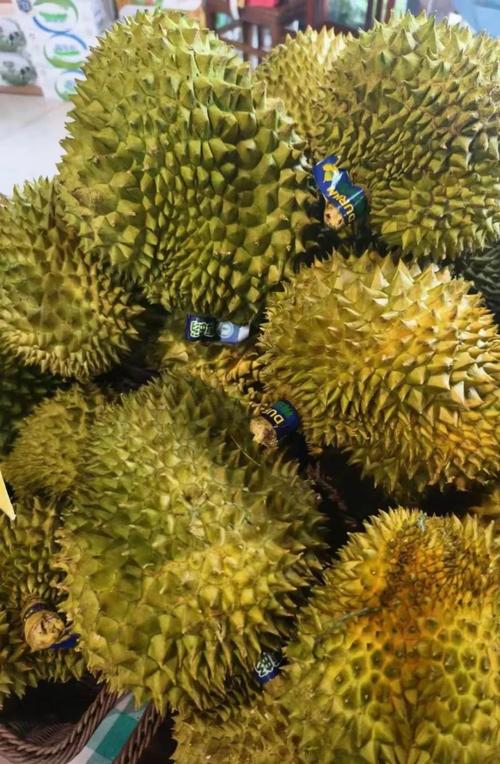 榴莲微视下载安卓ios下载