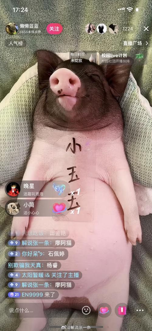 小猪草莓丝瓜深夜释放自己旧版免费