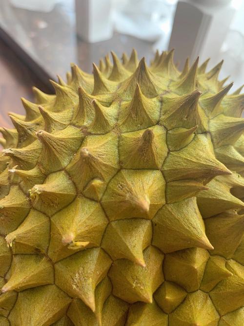 yw榴莲夜夜在线