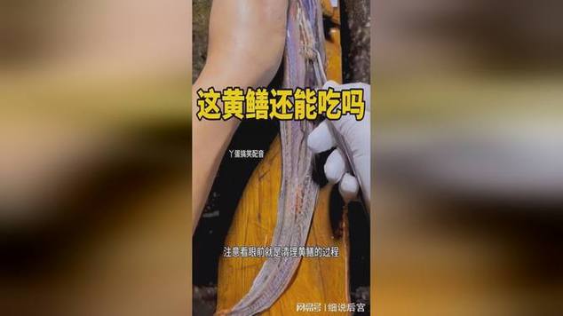 亚洲se黄鳝门在线观看