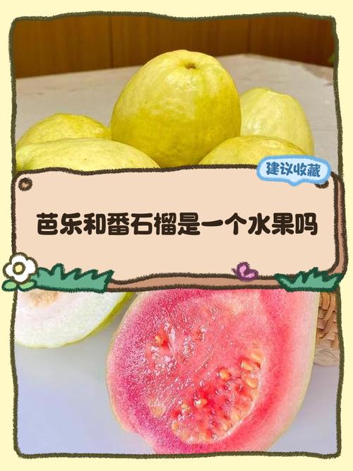 芭乐丝瓜榴莲石榴哔哩哔哩