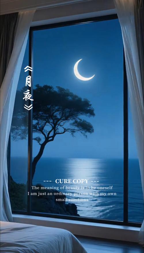 月夜影视视频在线观看免vip版