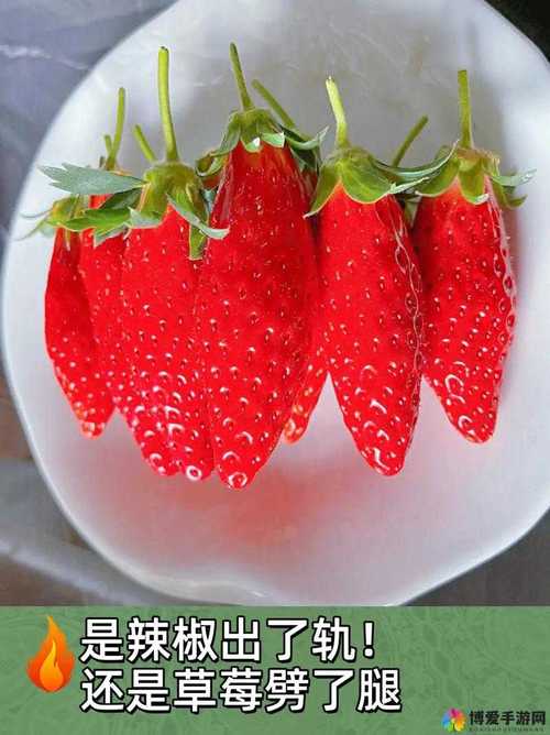 石榴草莓丝瓜榴莲黄瓜免费版