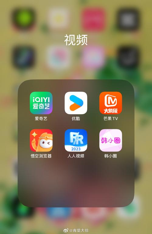 成版人快活视频app