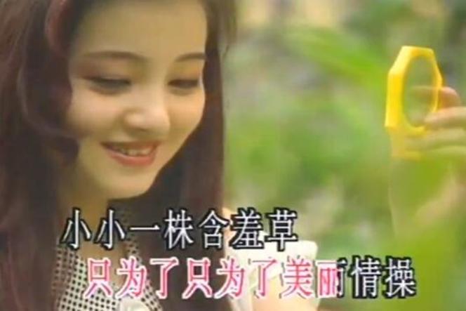 含羞草观看在线播放免费视频