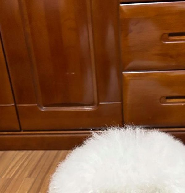 比熊语音接单平台