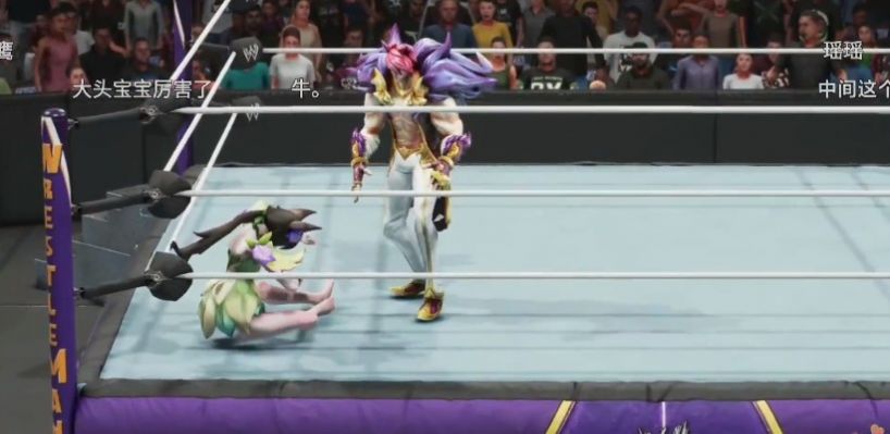 无限制格斗比赛游戏