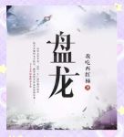 盘龙txt免费下载