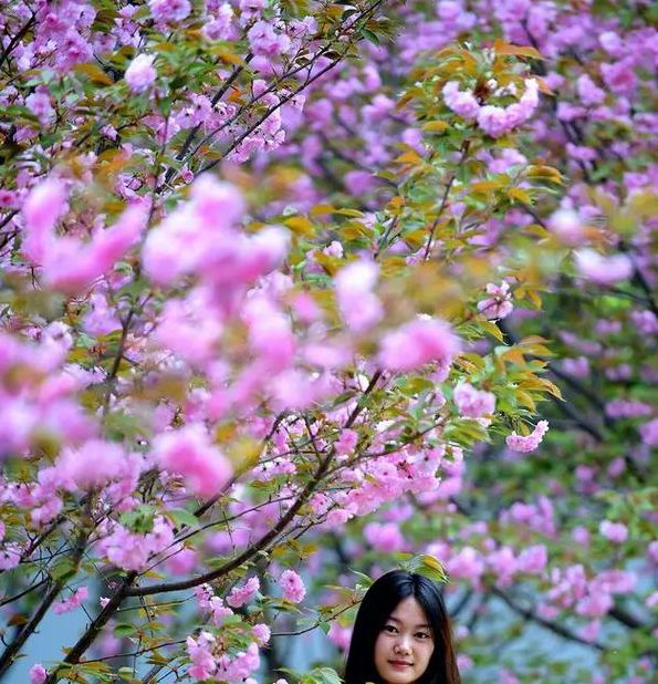 花季少女视频app