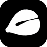 木鱼官方版正版