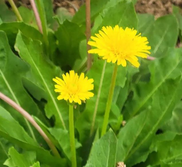 野花社区视频www最新版