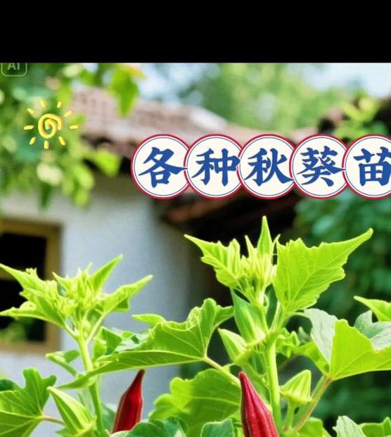 草莓秋葵芭乐绿巨人