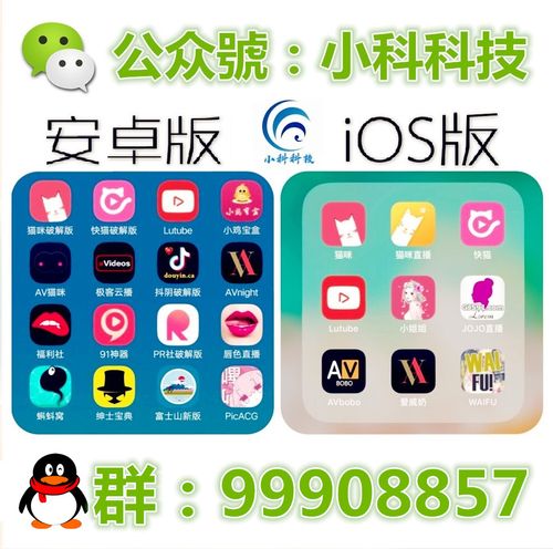 猫咪社区软件下载