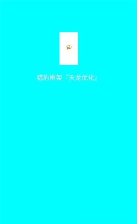 猎豹框架优化版