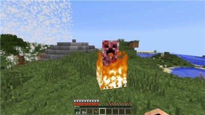 我的世界1.16版本