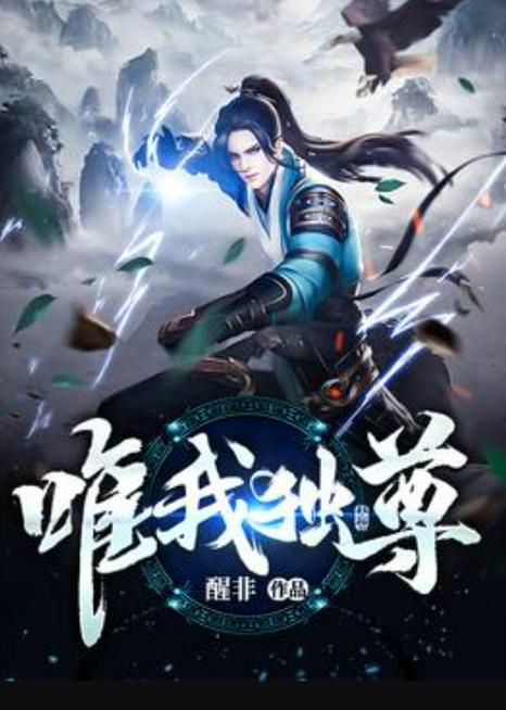 唯我独尊txt下载