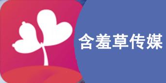 含羞草传媒4.0.3黄版