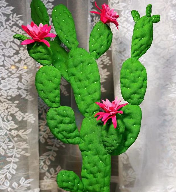 仙人掌嘿呦嘿呦视频